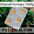 Sildenafil Kamagra 100Mg 24